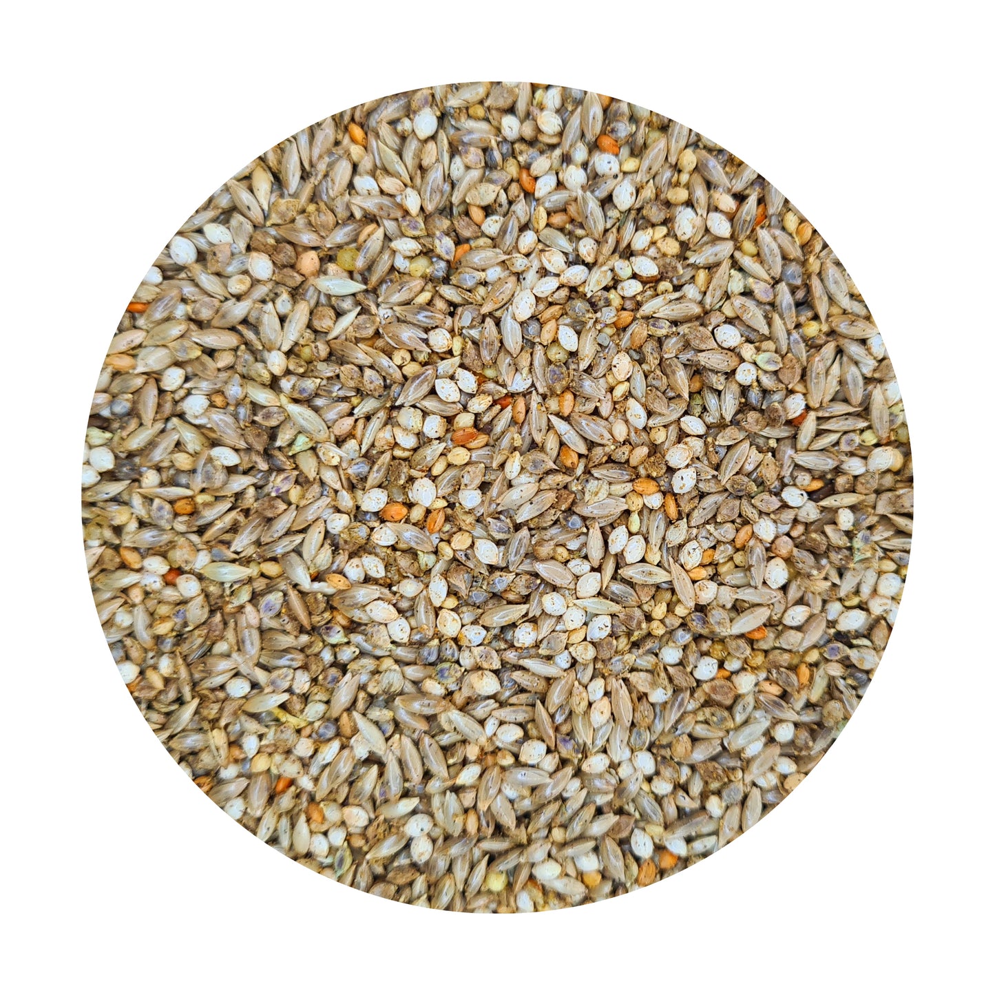 PREMIUM Canary Seed Mix with TummyRite™ Plus
