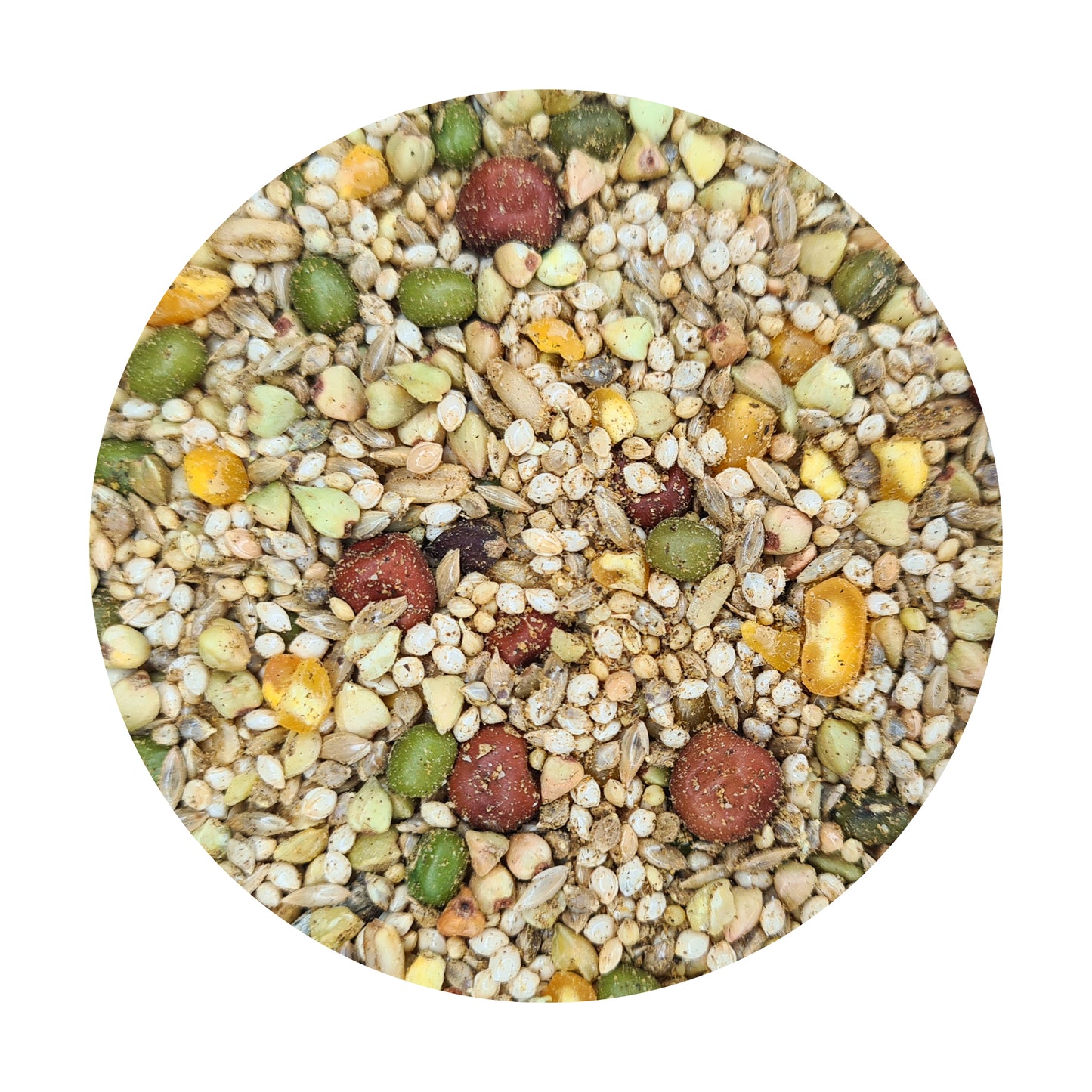 PREMIUM Large Parrot Seed Mix with TummyRite™ Plus