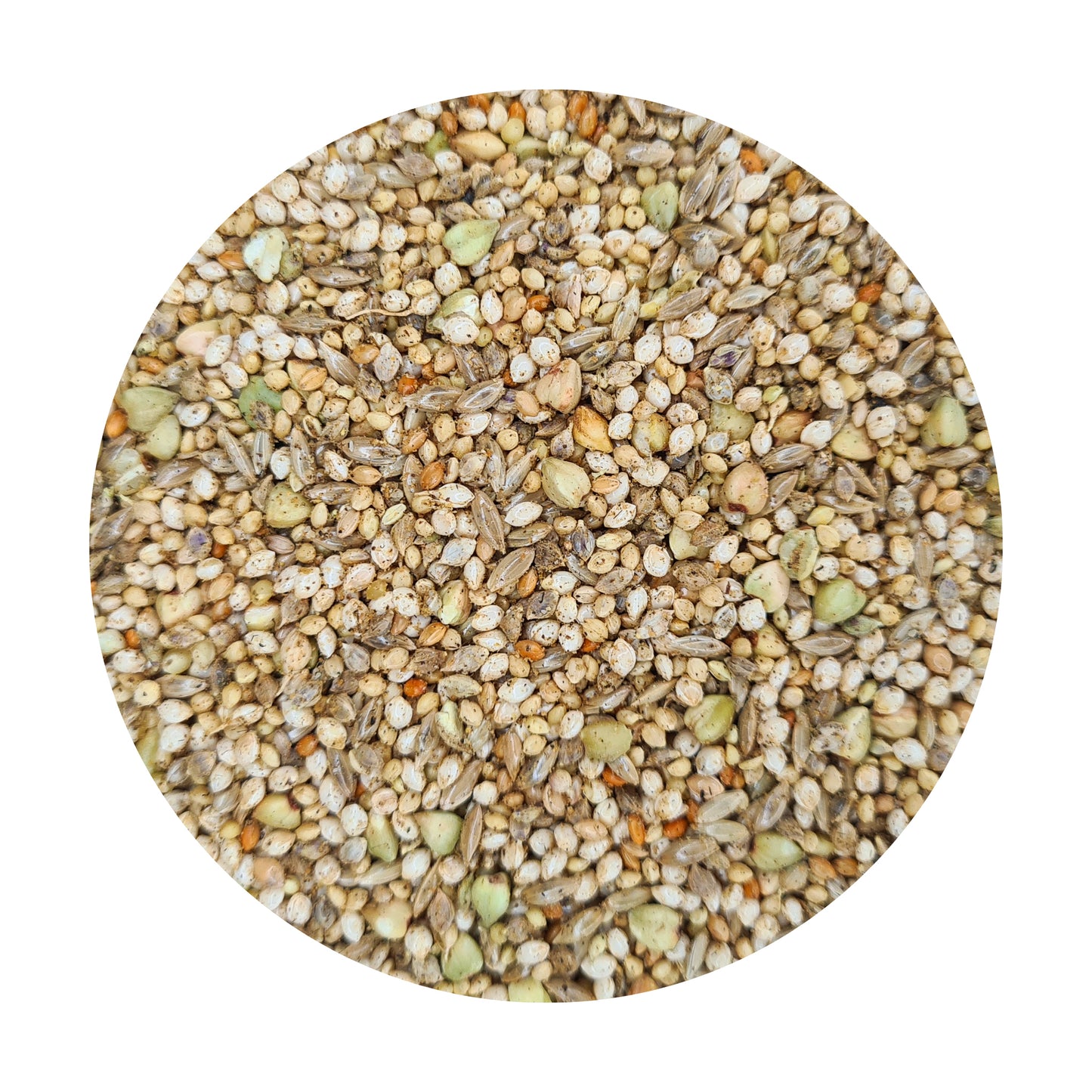 PREMIUM Small Parrot Seed Mix with TummyRite™ Plus