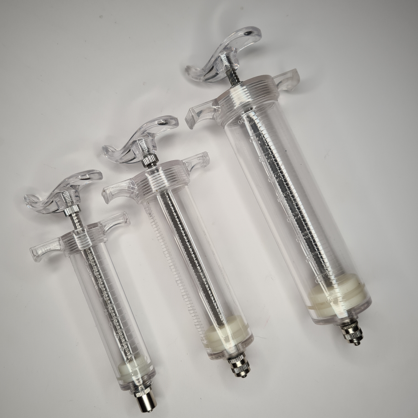 Bird Feeding Syringe