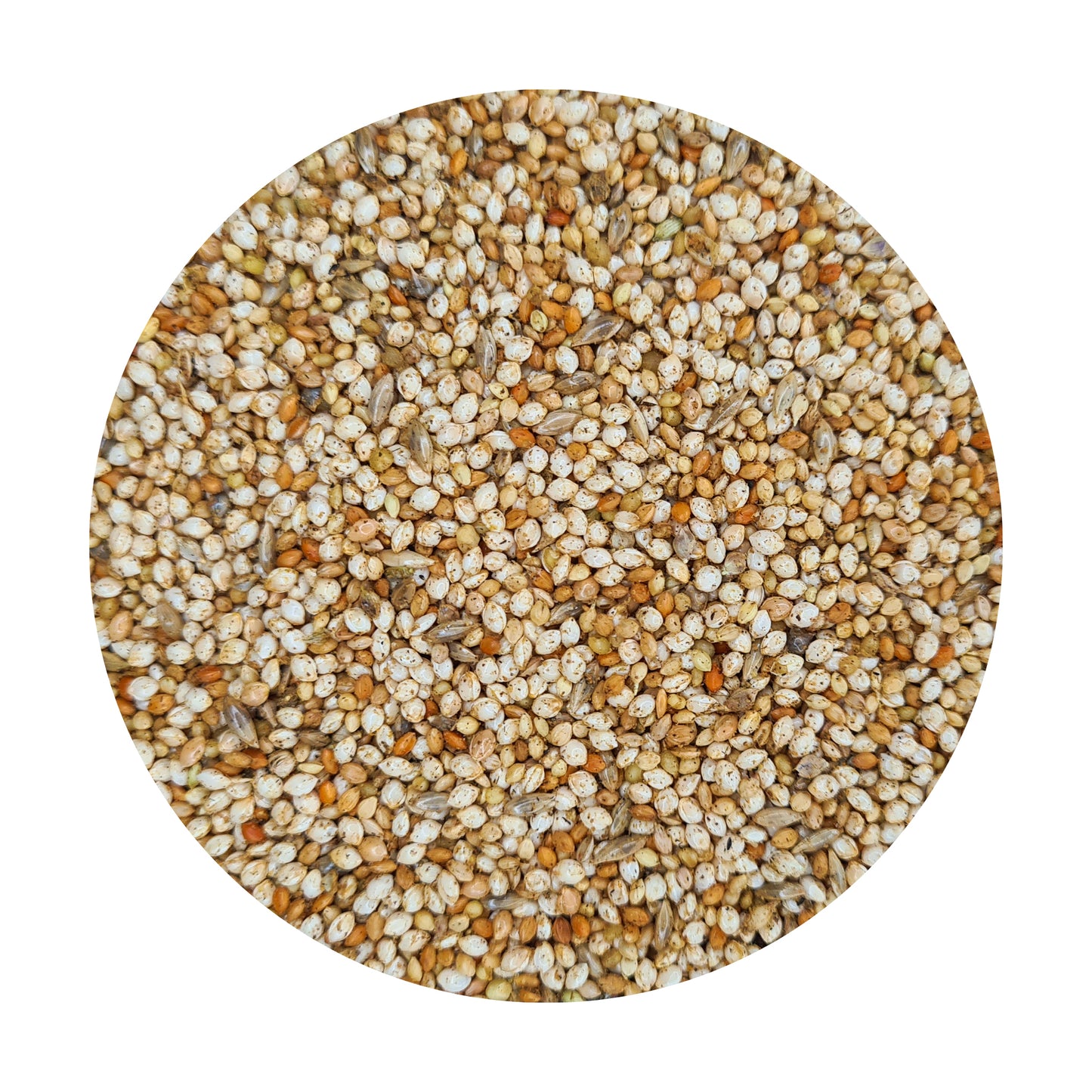 PREMIUM Zebra Finch Seed Mix with TummyRite™ Plus