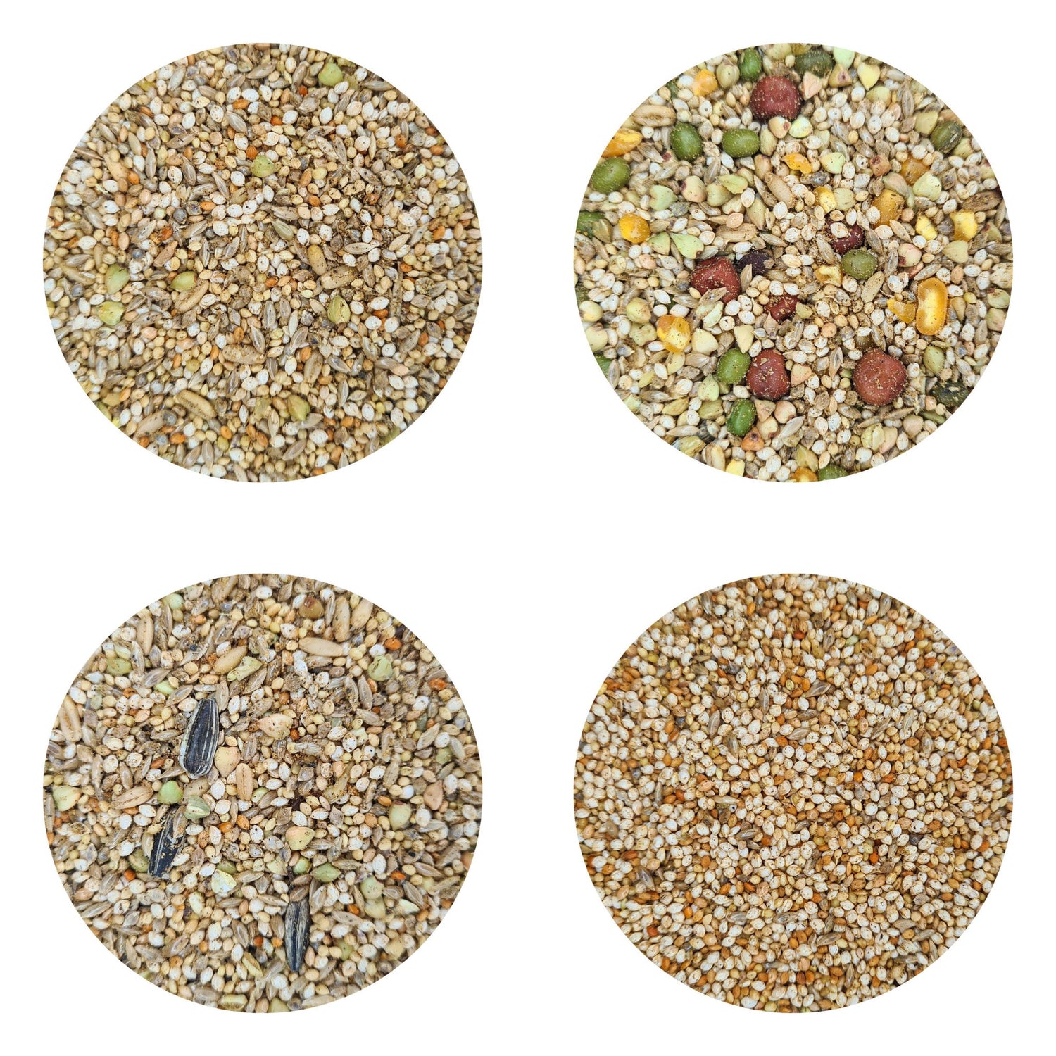 Premium Bird Seeds with TummyRite Plus Supplement