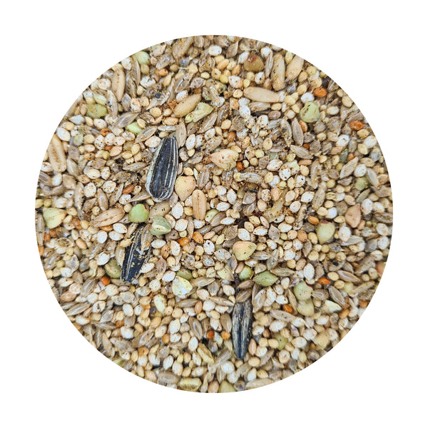 PREMIUM Asiatic Parrot Seed Mix with TummyRite Plus