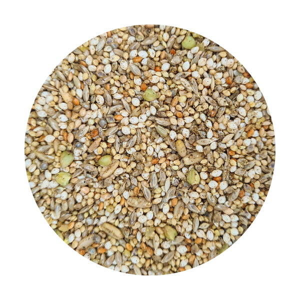 PREMIUM Budgerigar and other Parakeets Seed Mix with TummyRite™ Pl