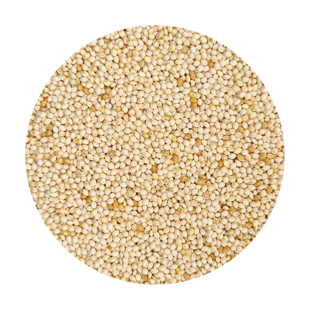 White French Millet